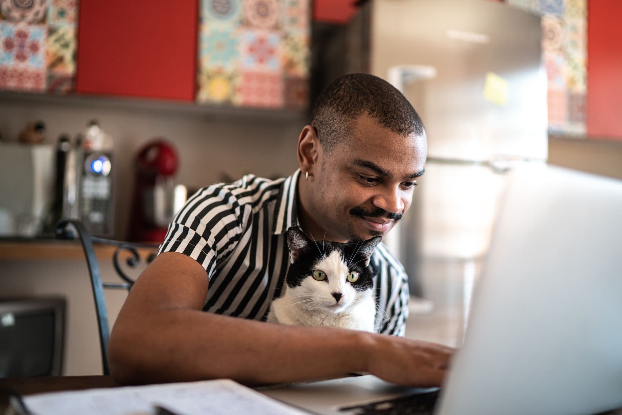 A man working from home using a laptop with a cat sat on his knee